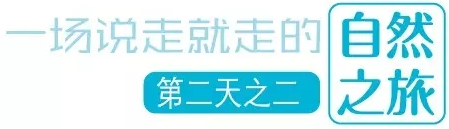 國(guó)際搬家